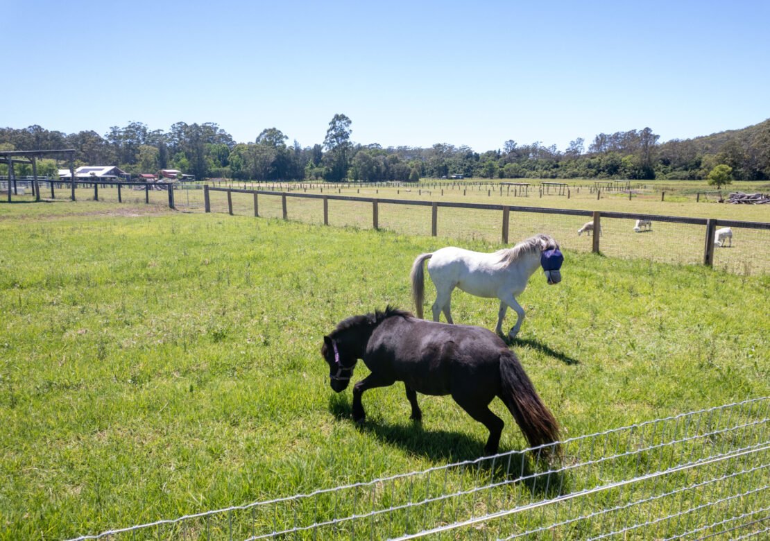 Mandalay Park Retreat