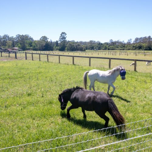 Mandalay Park Retreat