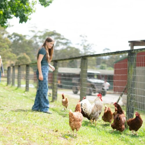 Mandalay Park Cottage