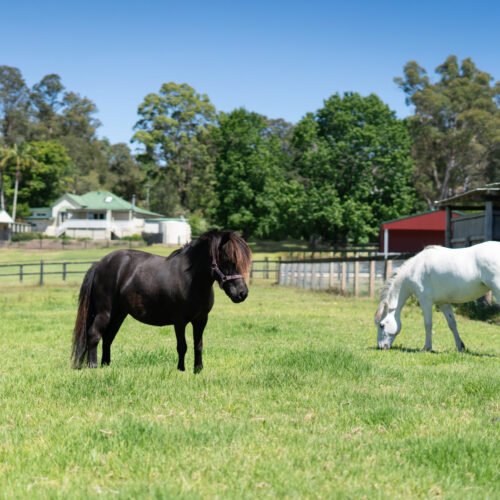 Mandalay Park Cottage