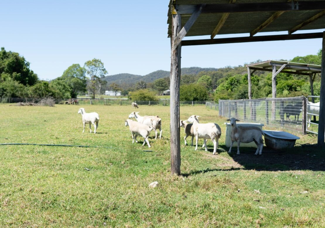 Mandalay Park Retreat