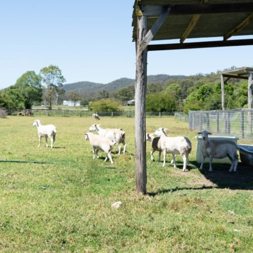 Mandalay Park Retreat