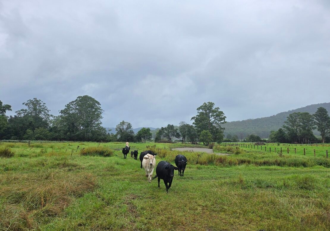 Mandalay Park Cottage