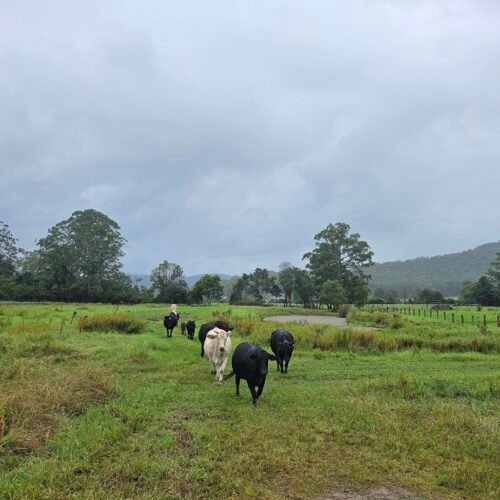 Mandalay Park Cottage