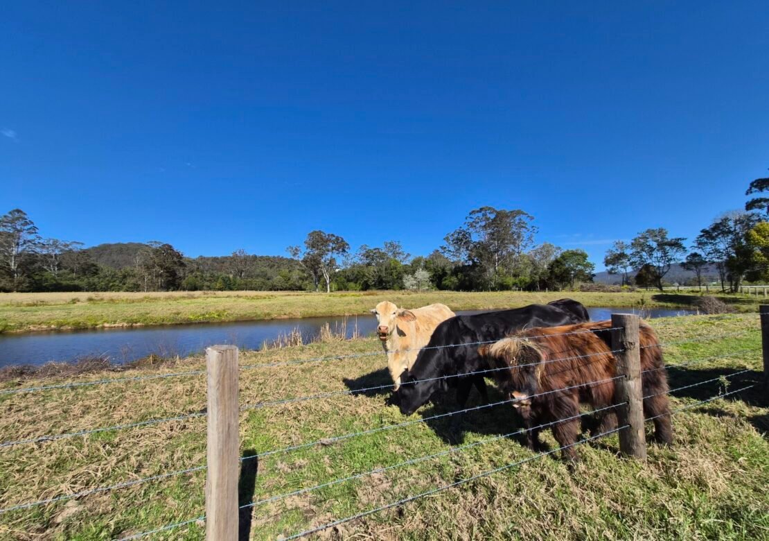 Mandalay Park Cottage