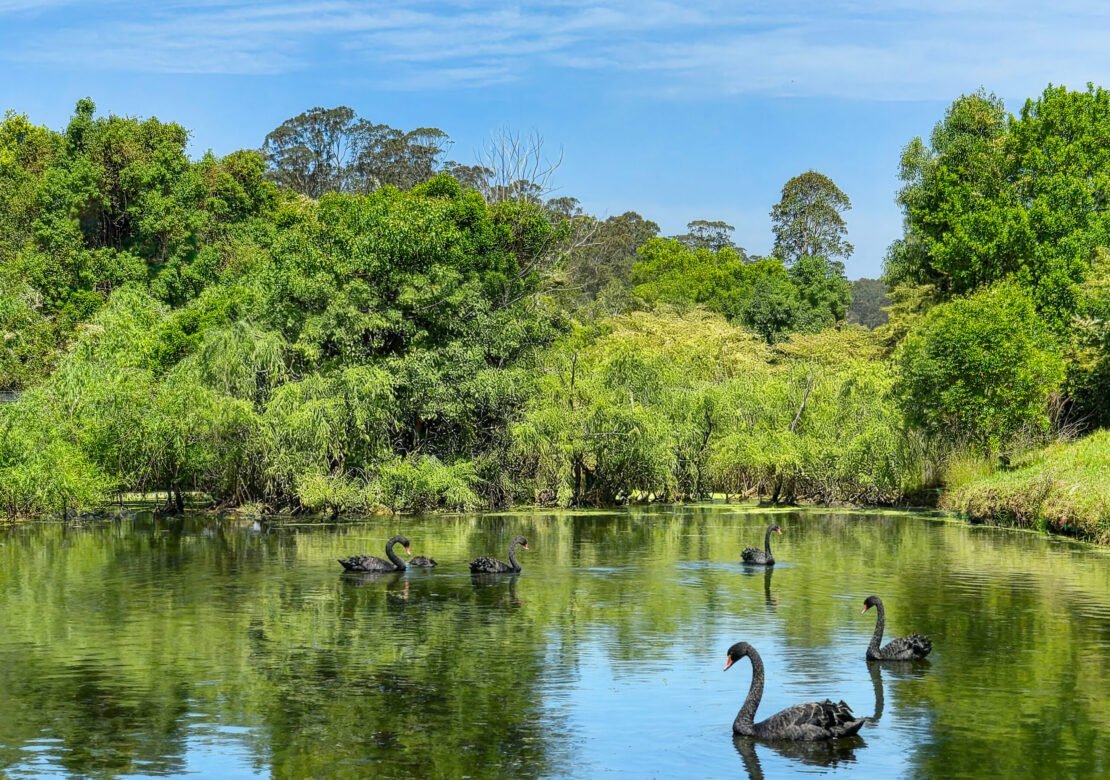 Mandalay Park Retreat