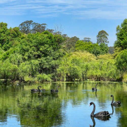 Mandalay Park Retreat