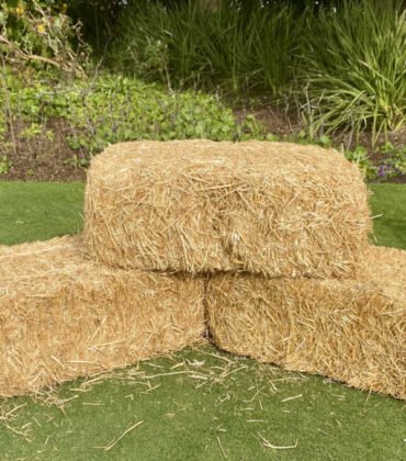 Hay Bale small