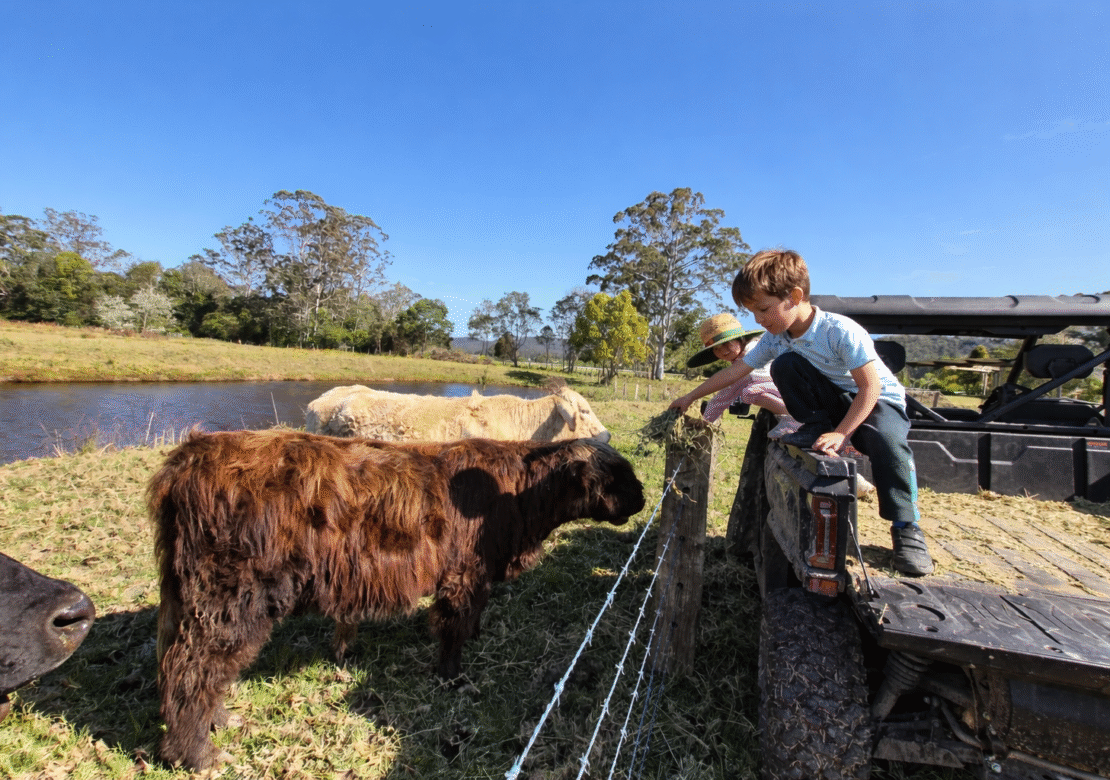 Mandalay Park Retreat