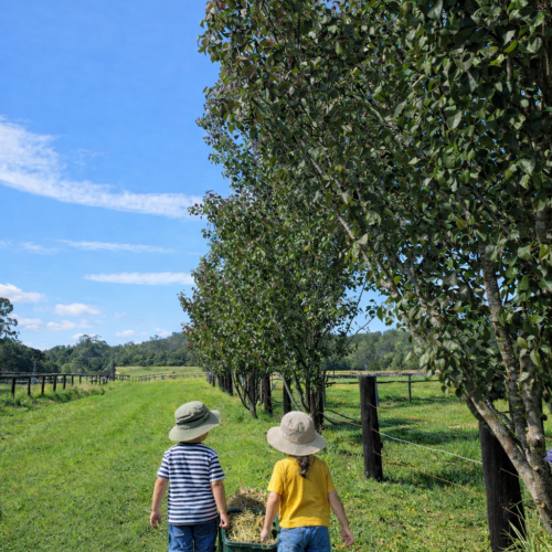 Mandalay Park Cottage